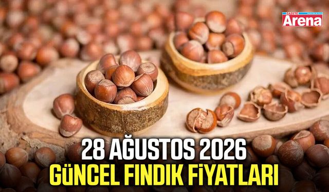 28 Ağustos 2026 güncel fındık fiyatları