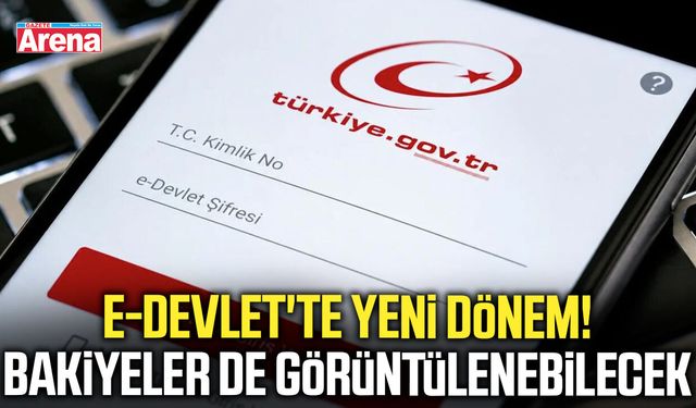 e-Devlet'te yeni dönem! Bakiyeler de görüntülenebilecek
