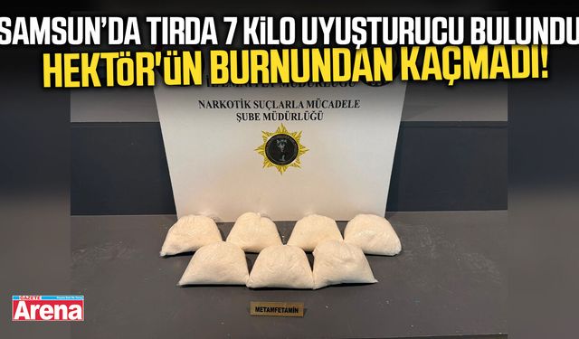 Hektör'ün burnundan kaçmadı! Tırda 7 kilo uyuşturucu bulundu