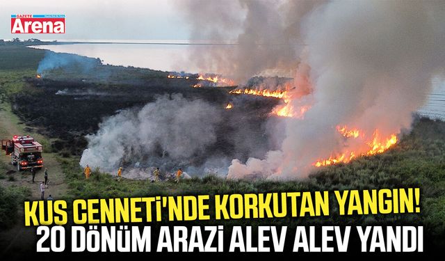 Kızılırmak Deltası'nda korkutan sazlık yangını!