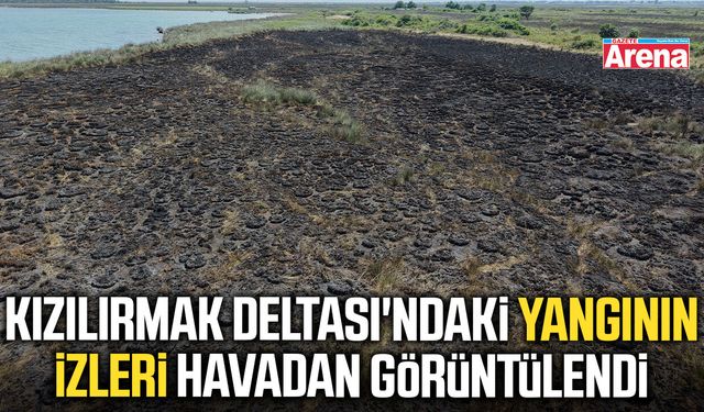 Kızılırmak Deltası'ndaki yangının izleri havadan görüntülendi