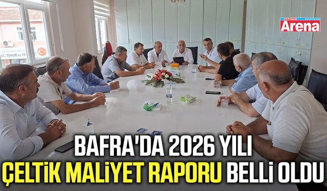 Bafra'da 2026 yılı çeltik maliyet raporu belli oldu