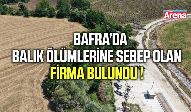 Bafra'da balık ölümlerine sebep olan firma bulundu