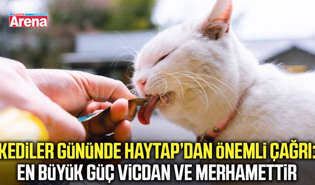 Kediler gününde HAYTAP’dan önemli çağrı!