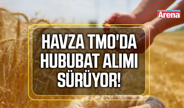 Havza TMO'da hububat alımları sürüyor