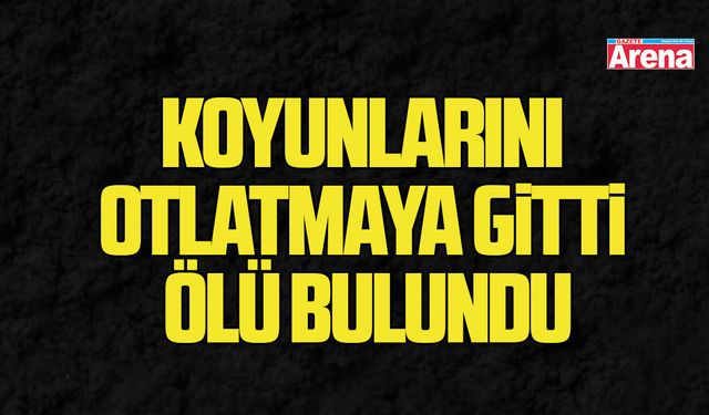Samsun'da acı olay! Koyunlarını otlatmaya giden adam ölü bulundu