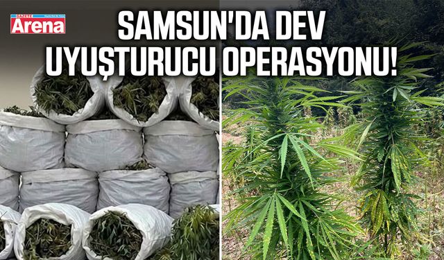 Samsun'da dev uyuşturucu operasyonu!