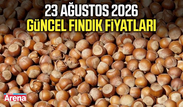 23 Ağustos 2026 güncel fındık fiyatları