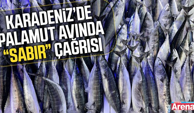 Karadeniz’de palamut avında sabır çağrısı