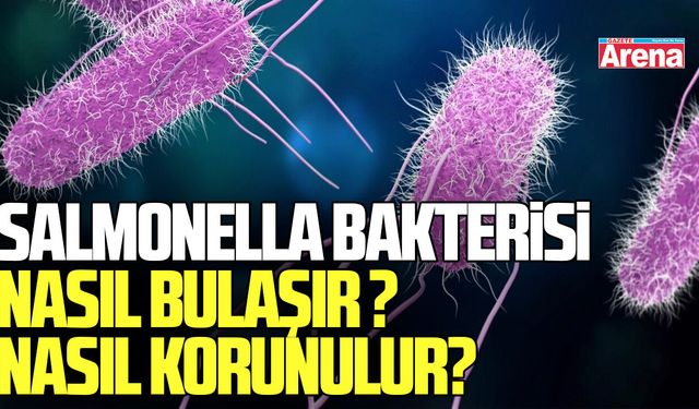 Salmonella bakterisi nedir, nasıl bulaşır ve nasıl korunulur?
