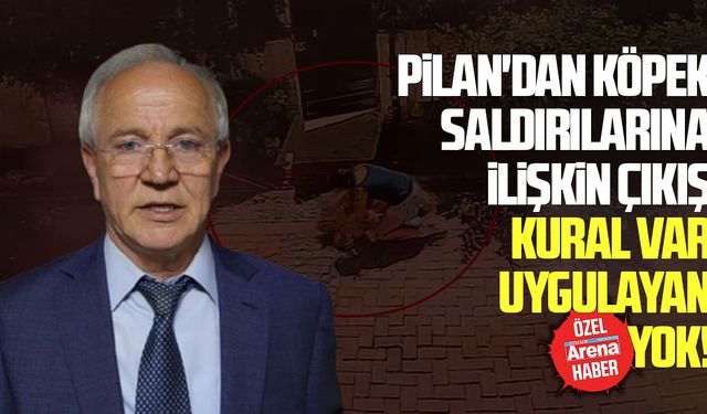 Veteriner Hekimleri Odası Başkanı Pilan'dan köpek saldırıları için sert çıkış: Kural var uygulayan yok!
