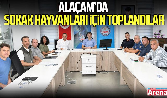 Samsun’un Alaçam İlçesinde sokak hayvanları için toplandılar