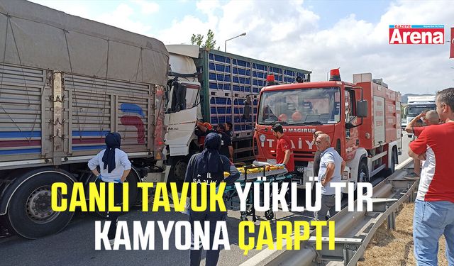Canlı tavuk yüklü tır havza viyadüğü'nde kamyona çarptı