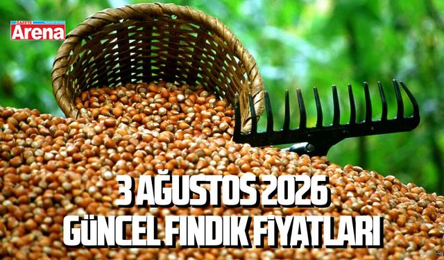 3 Ağustos 2026 güncel fındık fiyatları