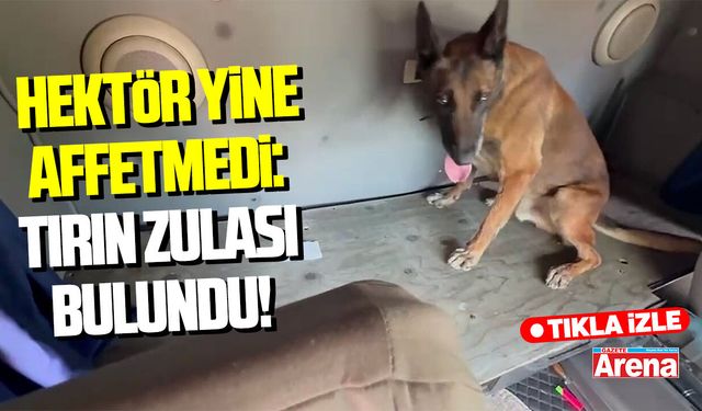 Hektör yine affetmedi: Tırın zulası bulundu!