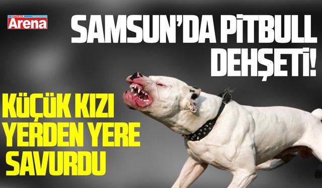 Samsun’da pitbull dehşeti: Kızı yerden yere vurdu!