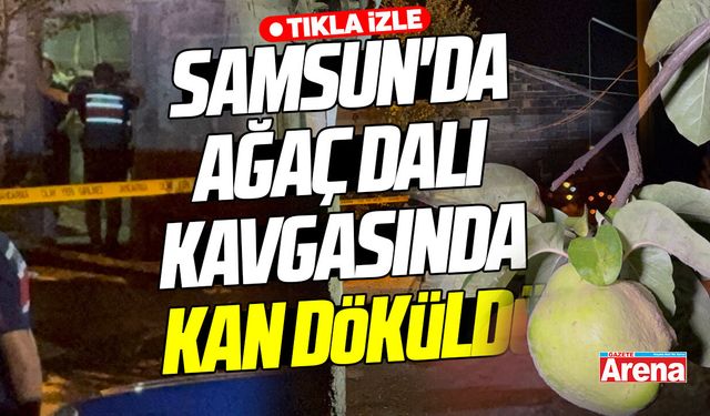 Samsun'da ağaç dalı kavgasında kan döküldü