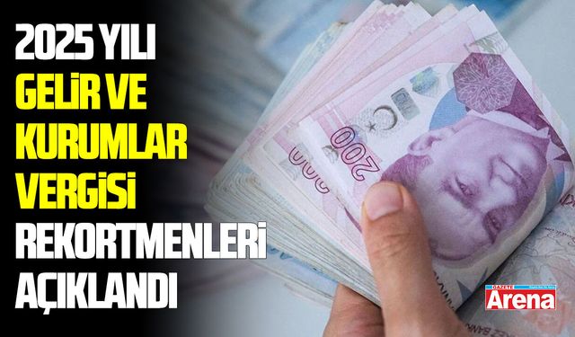 2025 yılı vergi rekortmenleri belli oldu