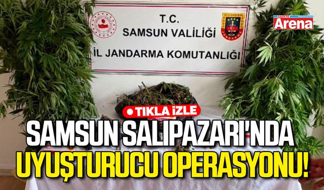 Samsun Salıpazarı'nda uyuşturucu operasyonu