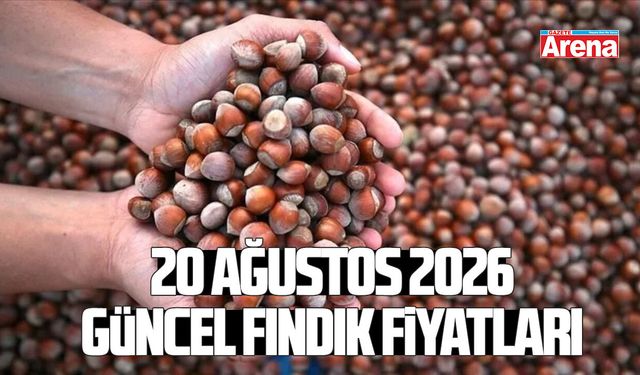 20 Ağustos 2026 güncel fındık fiyatları