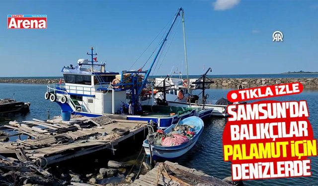 Samsun'da balıkçılar palamut için denizlerde