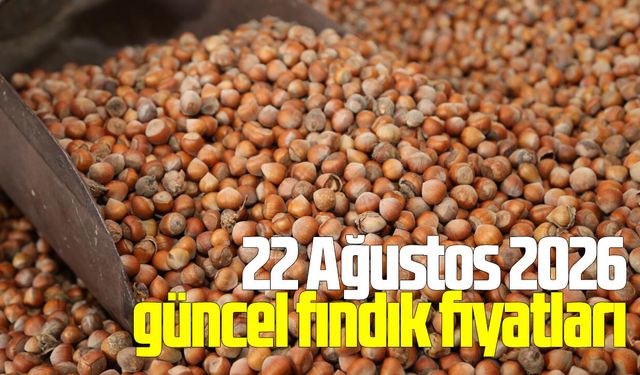 22 Ağustos 2026 güncel fındık fiyatları