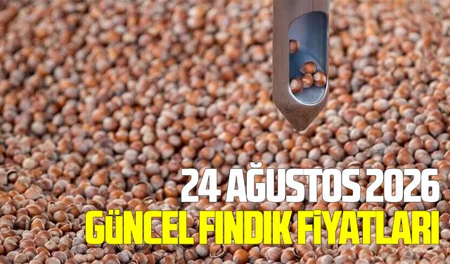 24 Ağustos 2026 güncel fındık fiyatları