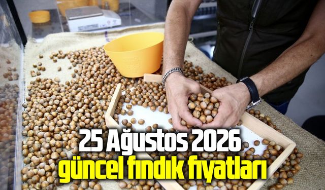 25 Ağustos 2026 güncel fındık fiyatları