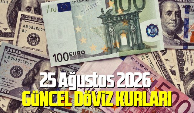 25 Ağustos 2026 güncel döviz kurları