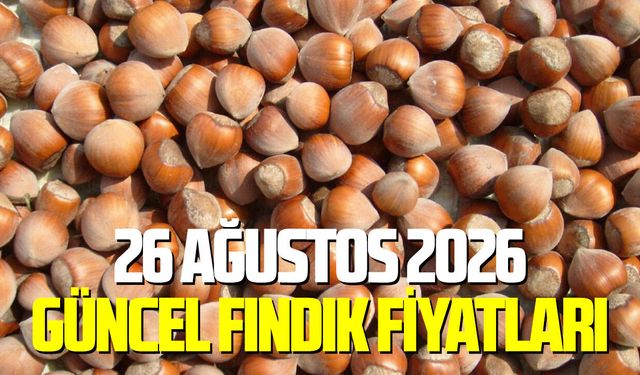 26 Ağustos 2026 güncel fındık fiyatları