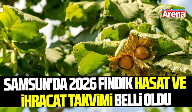 Samsun'da 2026 fındık hasat ve ihracat takvimi belli oldu