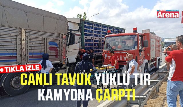 Canlı tavuk yüklü tır Havza Viyadüğü'nde kamyona çarptı