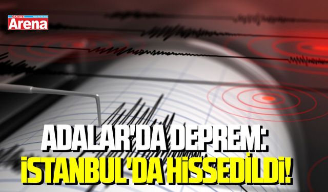 Adalar'da deprem: İstanbul'da hissedildi!