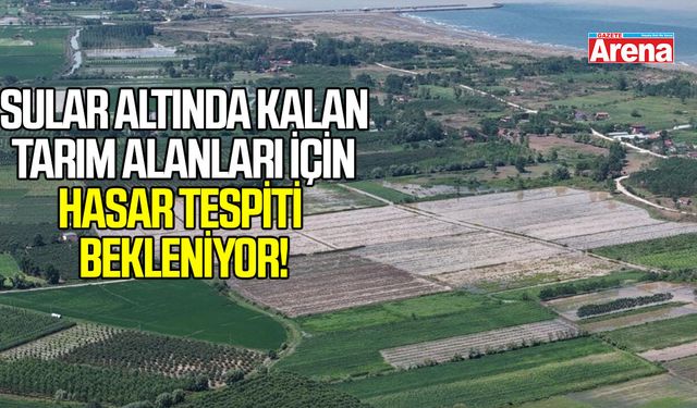 Çarşamba'da sular altında kalan tarım alanları için hasar tespiti bekleniyor