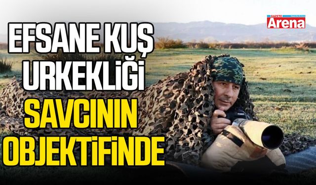 Efsane kuş urkekliği, savcının objektifinde