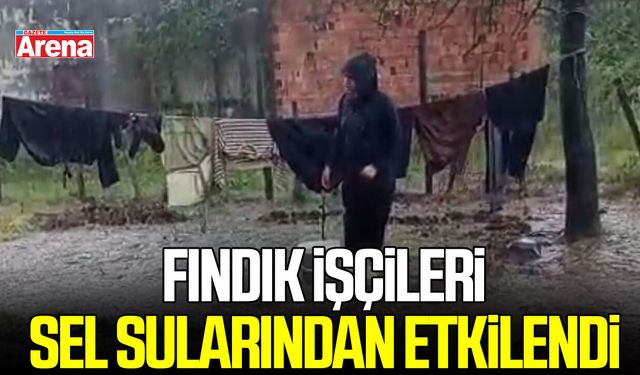 Samsun'da fındık işçileri sel sularından etkilendi