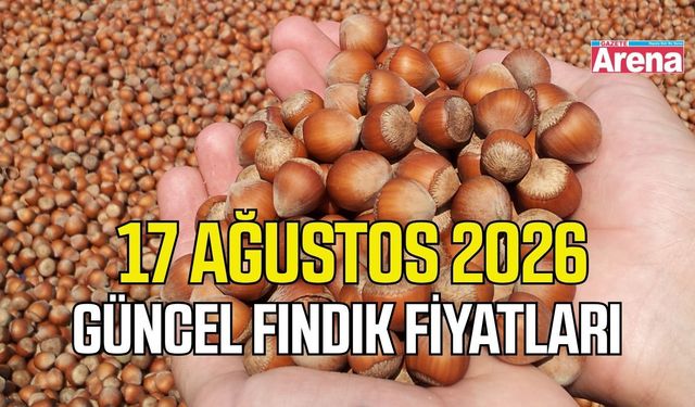 17 Ağustos 2026 güncel fındık fiyatları