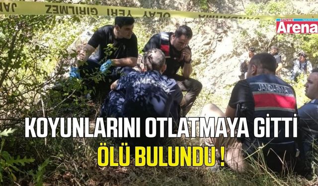 Samsun'da acı olay! Koyunlarını otlatmaya giden adam ölü bulundu