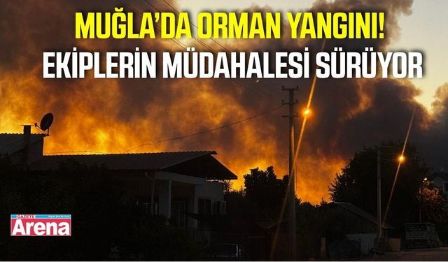 Muğla’da Orman Yangını! Ekiplerin Müdahalesi Sürüyor