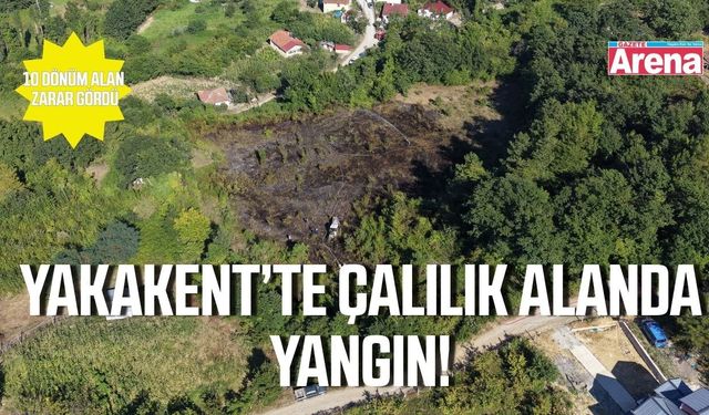 Yakakent’te çıkan yangında 10 dönümlük alan zarar gördü