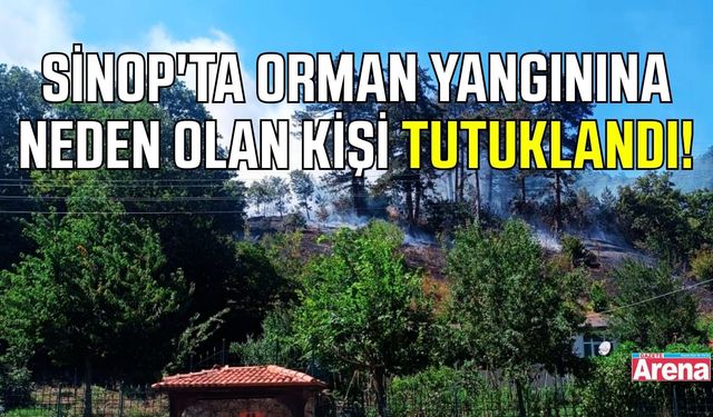 Sinop'ta ormanın yanmasına sebep olan kişi tutuklandı