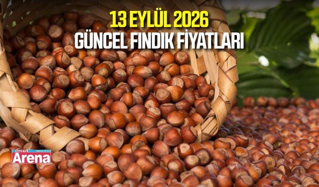 13 Eylül 2026 güncel fındık fiyatları