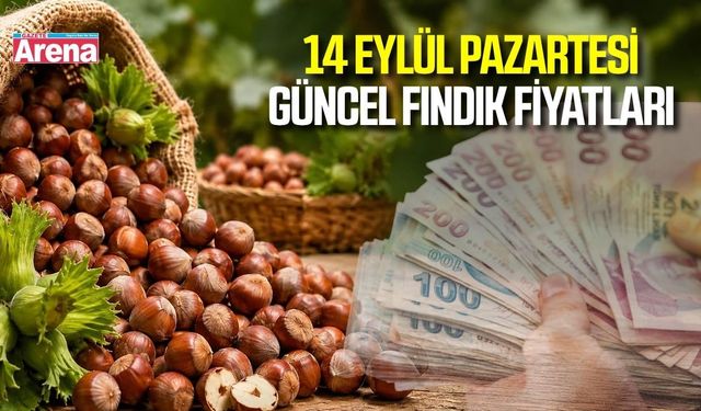 14 Eylül 2026 güncel fındık fiyatları