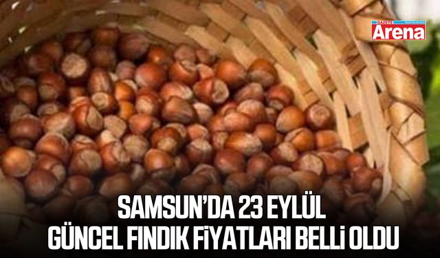 Samsun’da 23 Eylül güncel fındık fiyatları belli oldu