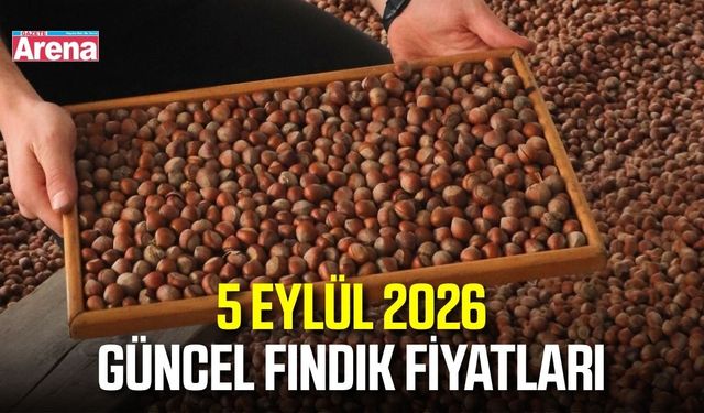 5 Eylül 2026 güncel fındık fiyatları