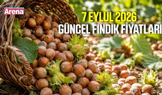 7 Eylül 2026 güncel fındık fiyatları
