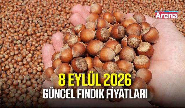 8 Eylül 2026 güncel fındık fiyatları