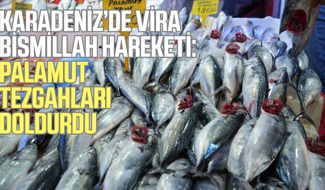 Karadeniz’de vira bismillah bereketi: Palamut tezgâhları doldurdu!