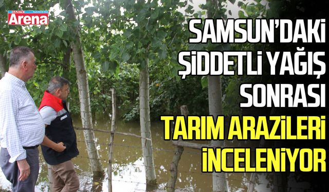Samsun’daki şiddetli yağış sonrası tarım arazileri inceleniyor