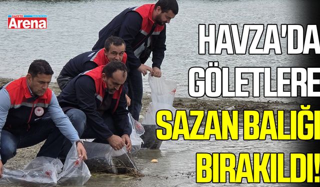 Havza'da göletlere yavru sazan balığı bırakıldı!